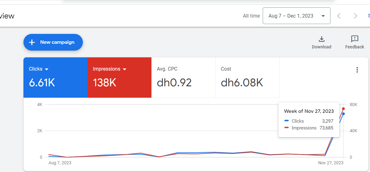 Google Ads campaign management and performance.